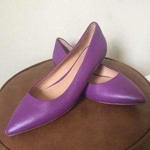 Purple pointed toe flats